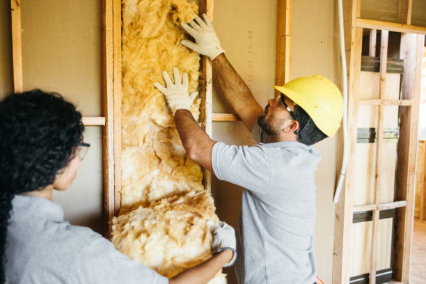 Best Attic Insulation Installation  in Swedeland, PA